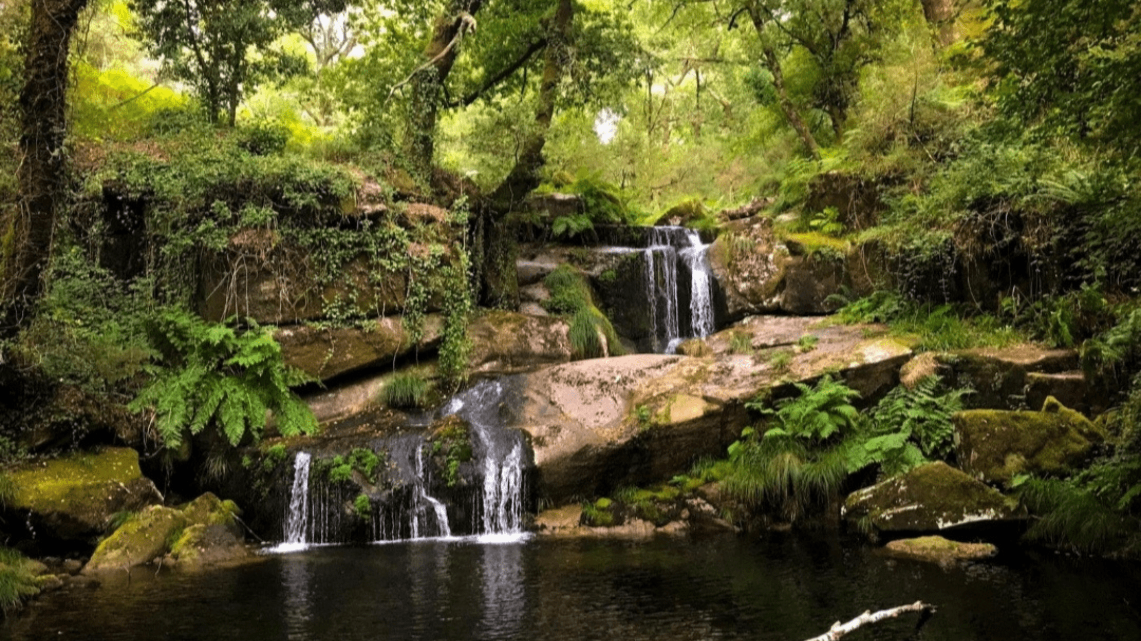 En este momento estás viendo Fervenzas de Galicia