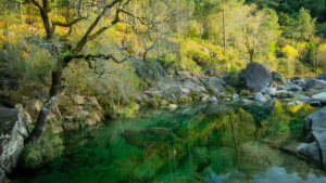 Lee más sobre el artículo Poço verde. El secreto mejor guardado de Peneda-Gerês