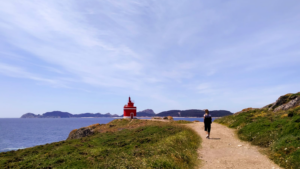 Lee más sobre el artículo Ruta de los faros de Cabo Home